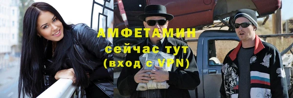 стаф Касимов