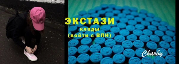 стаф Касимов