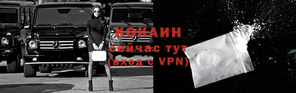 молекула духа Карпинск