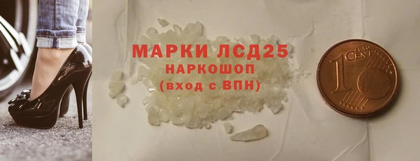 стаф Касимов