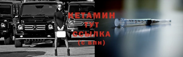 стаф Касимов
