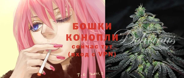 молекула духа Карпинск