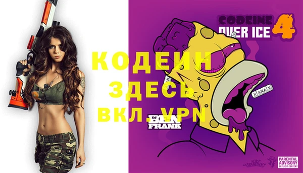 стаф Касимов