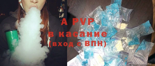 стаф Касимов