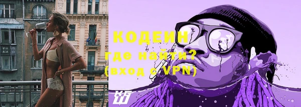 стаф Касимов