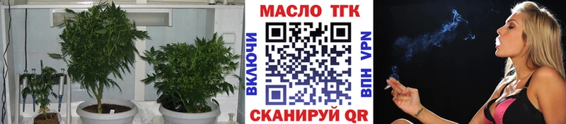 Купить закладки  Сосновка  Дистиллят ТГК THC oil 